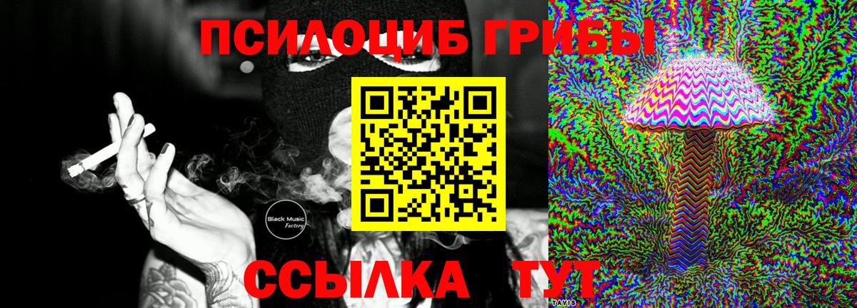 Галлюциногенные грибы прущие грибы  Вход с VPN  Северск  где купить   Псилоцибиновые грибы прущие грибы 